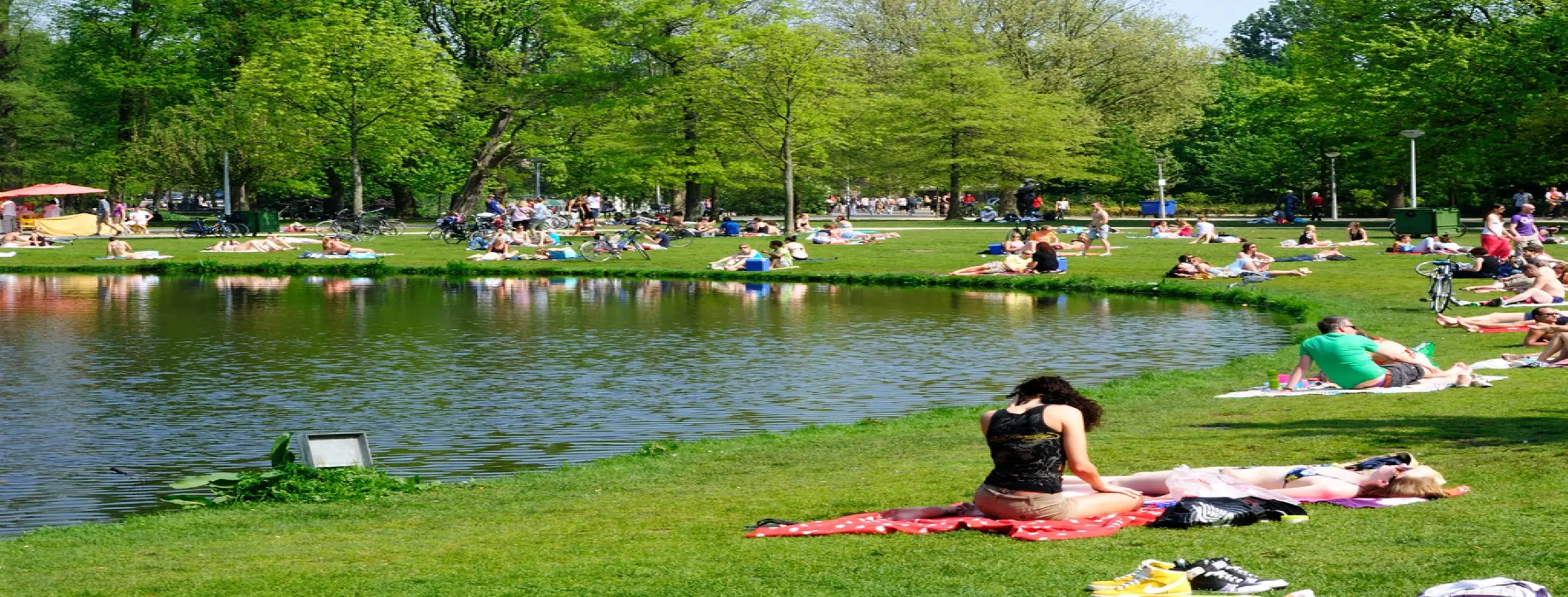 Image for Vondelpark Relaxation
